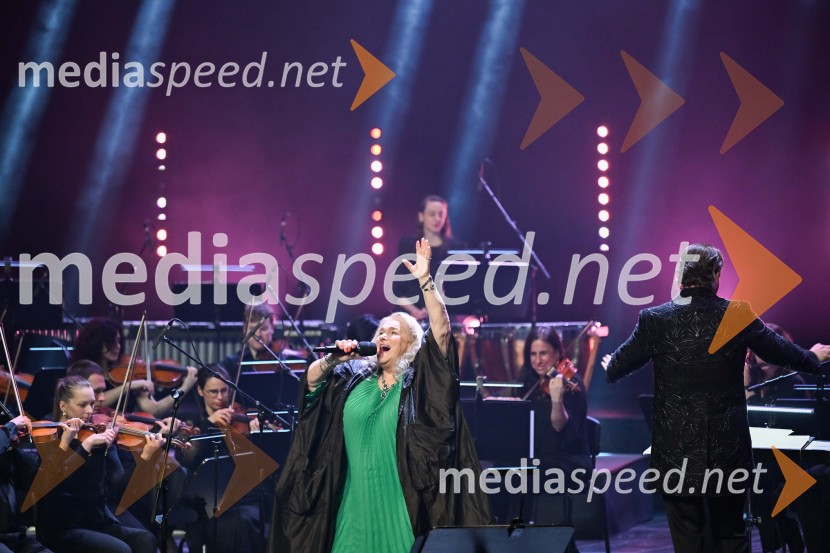 Elda Viler, veličastni poslovilni koncert, Cankarjev dom