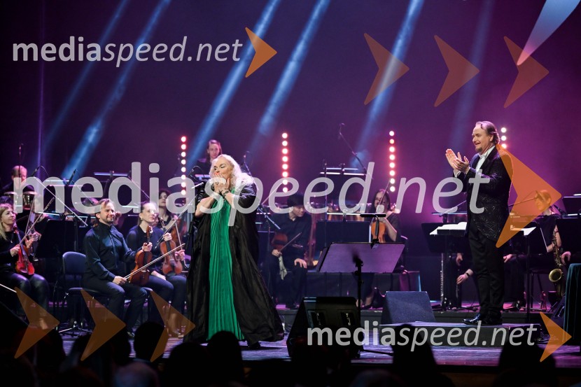 Elda Viler, veličastni poslovilni koncert, Cankarjev dom