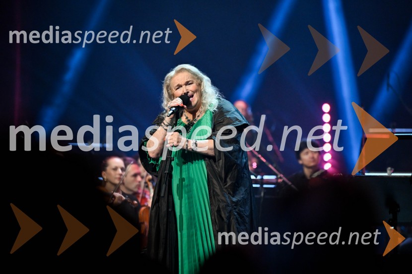 Elda Viler, veličastni poslovilni koncert, Cankarjev dom