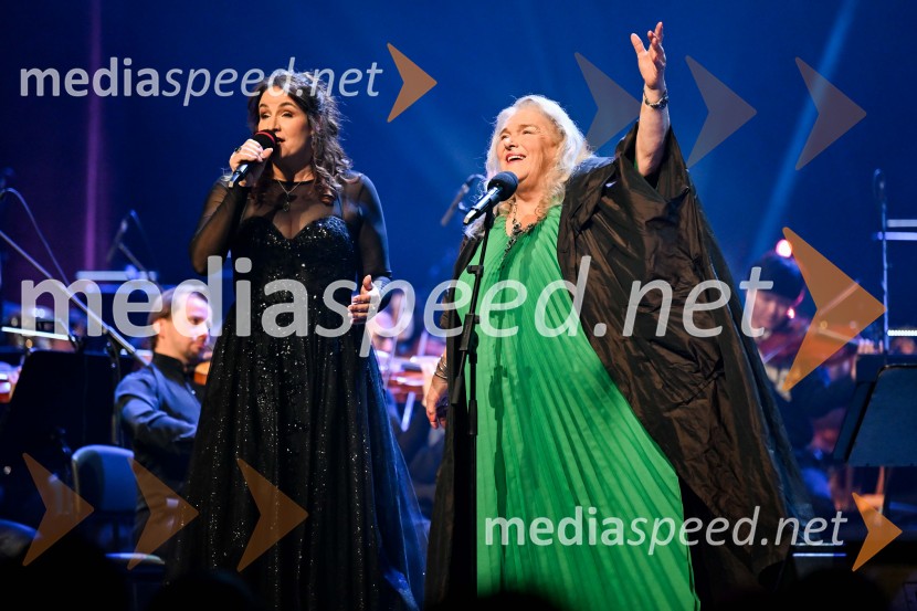 Elda Viler, veličastni poslovilni koncert, Cankarjev dom