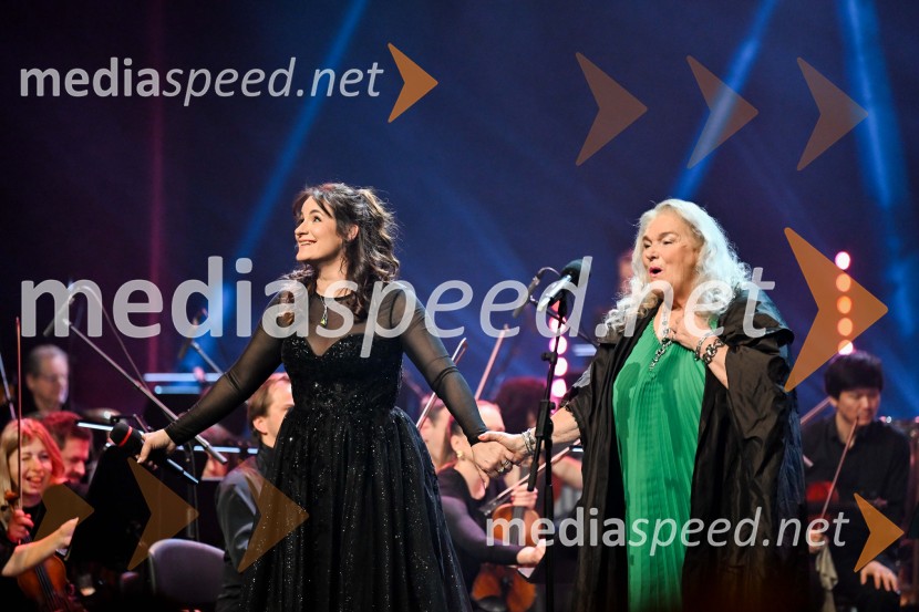 Elda Viler, veličastni poslovilni koncert, Cankarjev dom