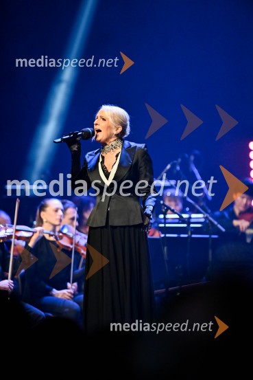 Elda Viler, veličastni poslovilni koncert, Cankarjev dom