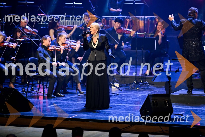 Elda Viler, veličastni poslovilni koncert, Cankarjev dom
