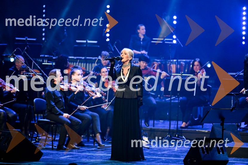 Elda Viler, veličastni poslovilni koncert, Cankarjev dom