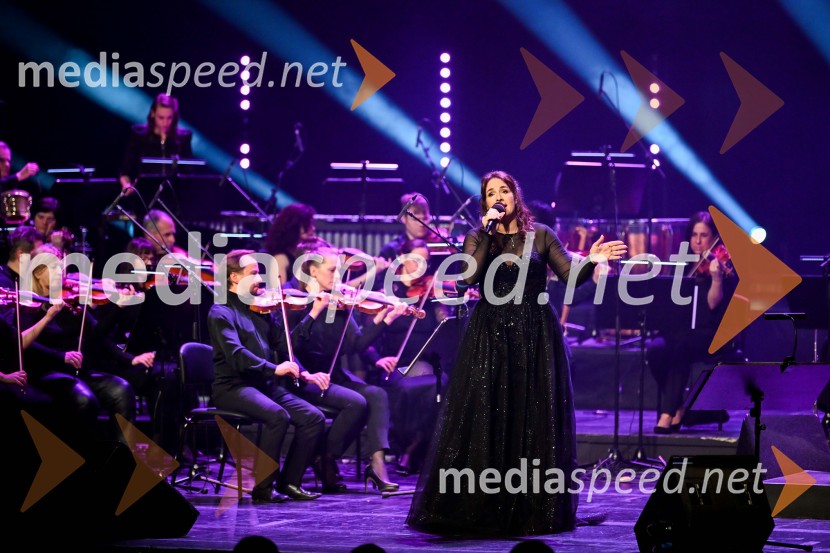 Elda Viler, veličastni poslovilni koncert, Cankarjev dom