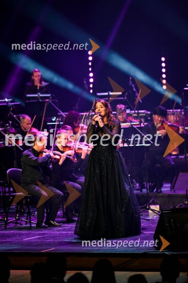 Elda Viler, veličastni poslovilni koncert, Cankarjev dom