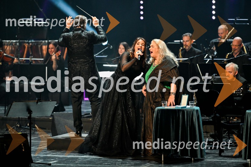 Elda Viler, veličastni poslovilni koncert, Cankarjev dom