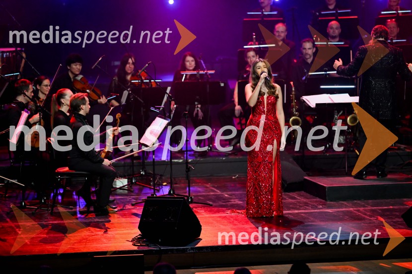 Elda Viler, veličastni poslovilni koncert, Cankarjev dom