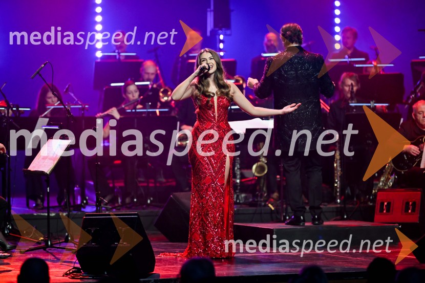 Elda Viler, veličastni poslovilni koncert, Cankarjev dom