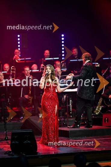 Elda Viler, veličastni poslovilni koncert, Cankarjev dom