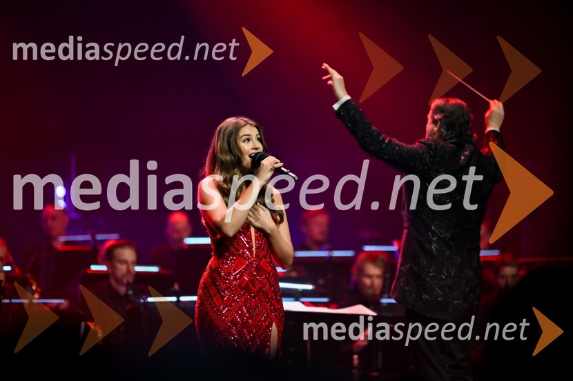 Elda Viler, veličastni poslovilni koncert, Cankarjev dom