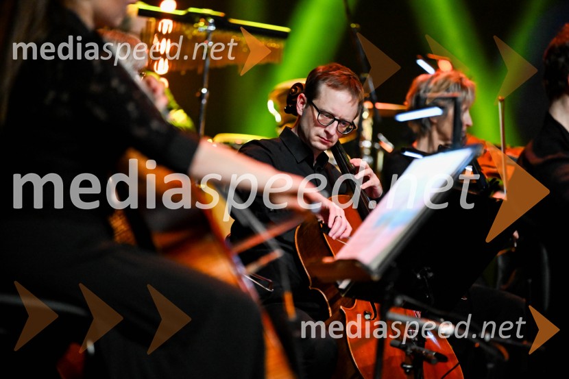 Elda Viler, veličastni poslovilni koncert, Cankarjev dom