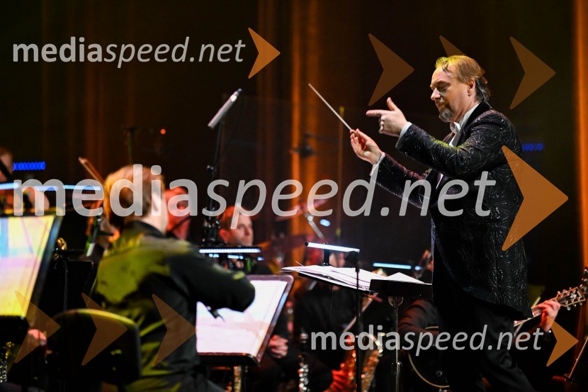 Elda Viler, veličastni poslovilni koncert, Cankarjev dom