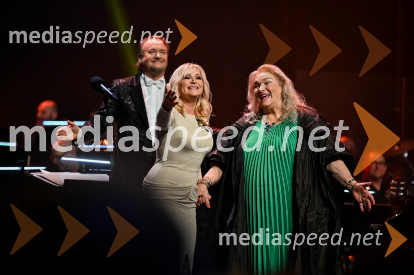 Elda Viler, veličastni poslovilni koncert, Cankarjev dom