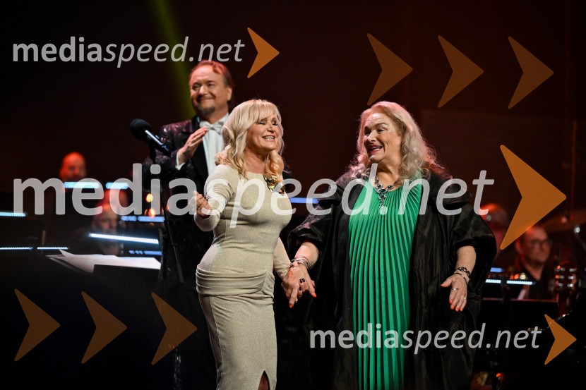 Elda Viler, veličastni poslovilni koncert, Cankarjev dom