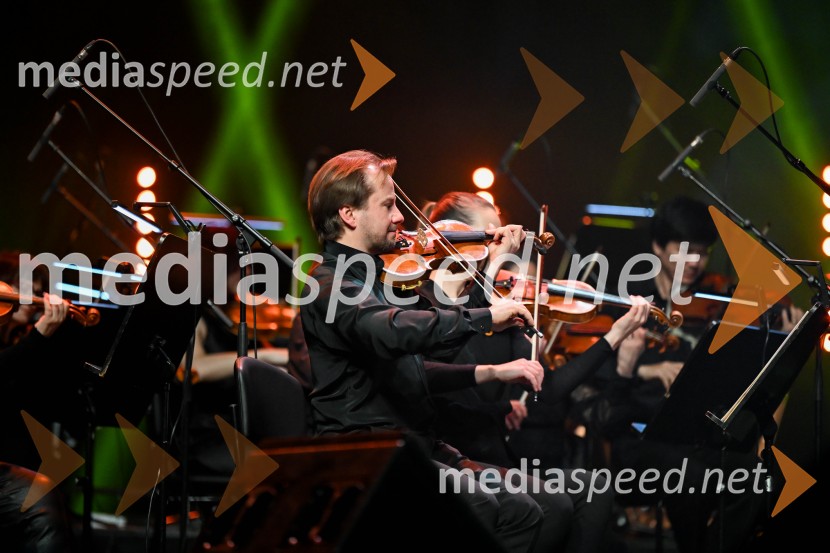 Elda Viler, veličastni poslovilni koncert, Cankarjev dom