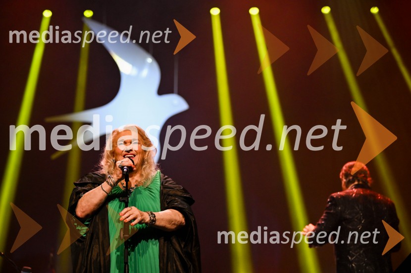 Elda Viler, veličastni poslovilni koncert, Cankarjev dom