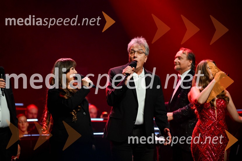 Elda Viler, veličastni poslovilni koncert, Cankarjev dom