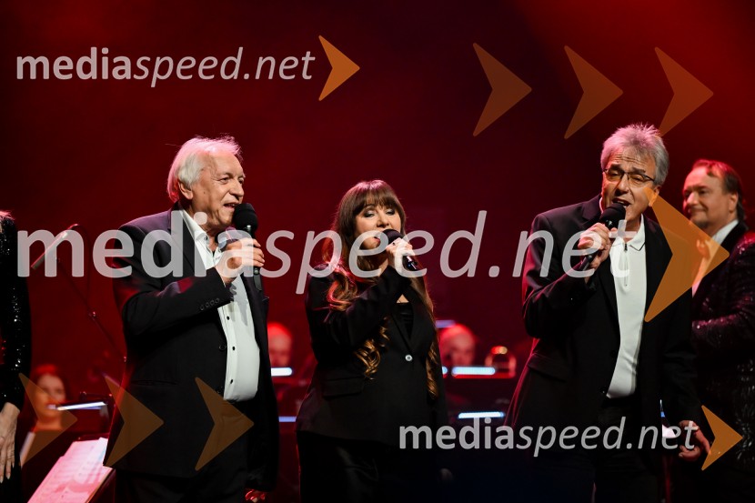 Elda Viler, veličastni poslovilni koncert, Cankarjev dom