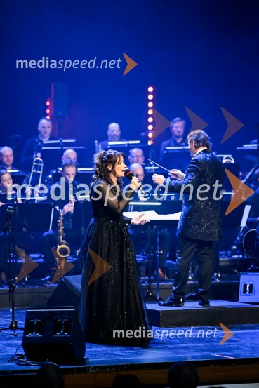 Elda Viler, veličastni poslovilni koncert, Cankarjev dom