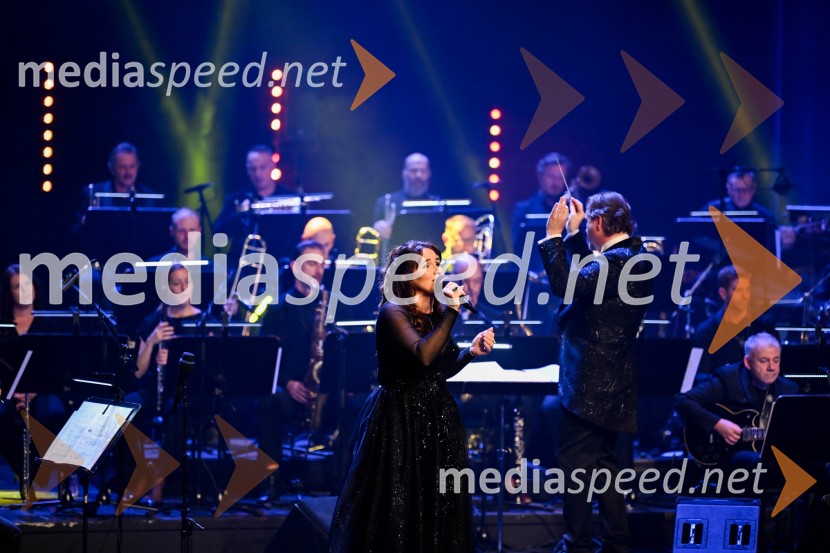 Elda Viler, veličastni poslovilni koncert, Cankarjev dom