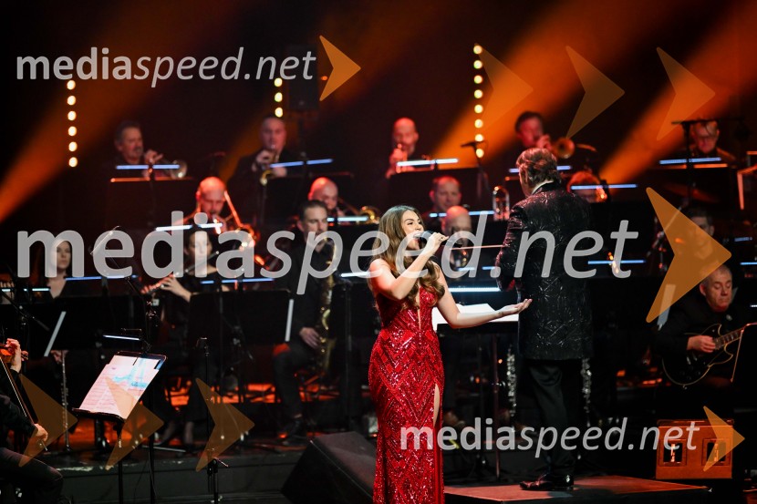 Elda Viler, veličastni poslovilni koncert, Cankarjev dom