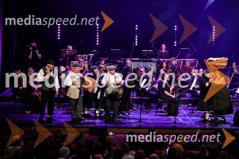 Elda Viler, veličastni poslovilni koncert, Cankarjev dom