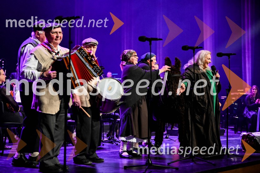 Elda Viler, veličastni poslovilni koncert, Cankarjev dom