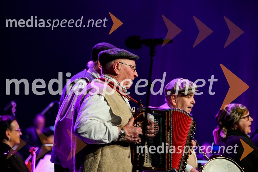 Elda Viler, veličastni poslovilni koncert, Cankarjev dom