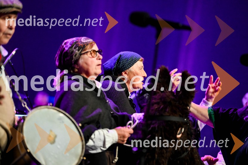 Elda Viler, veličastni poslovilni koncert, Cankarjev dom