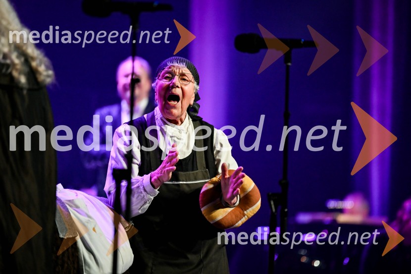 Elda Viler, veličastni poslovilni koncert, Cankarjev dom