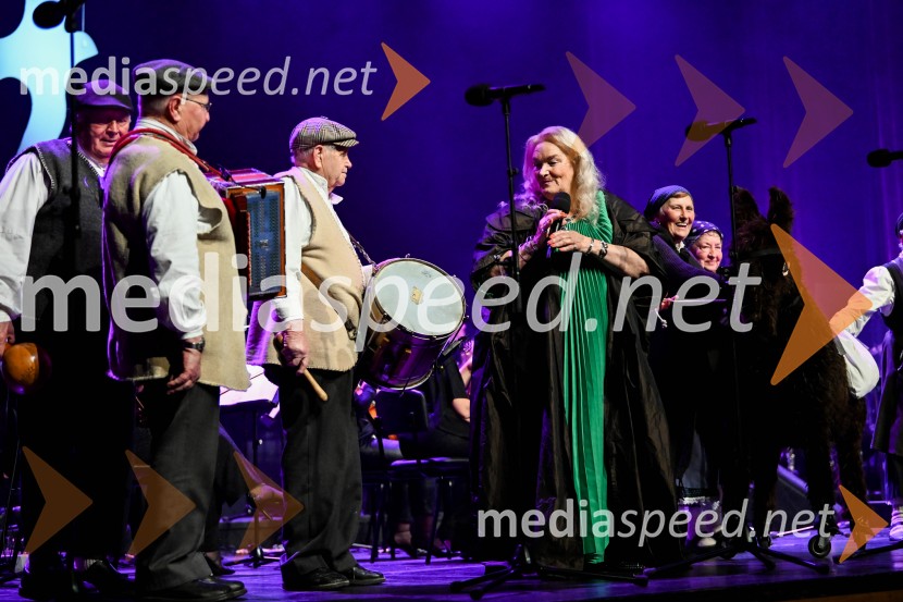 Elda Viler, veličastni poslovilni koncert, Cankarjev dom