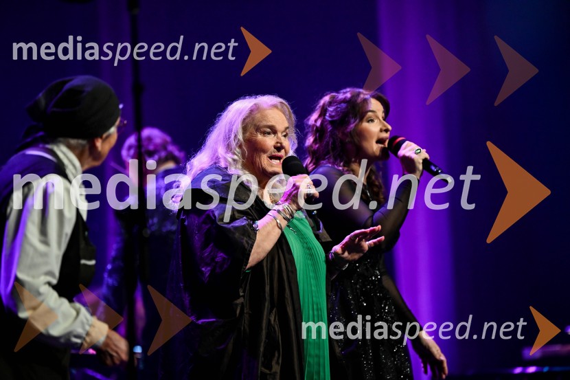 Elda Viler, veličastni poslovilni koncert, Cankarjev dom