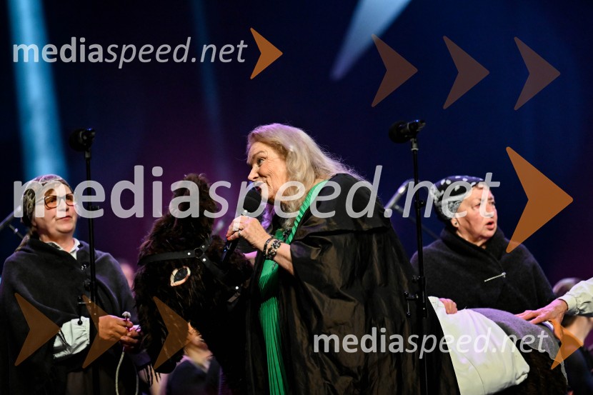 Elda Viler, veličastni poslovilni koncert, Cankarjev dom