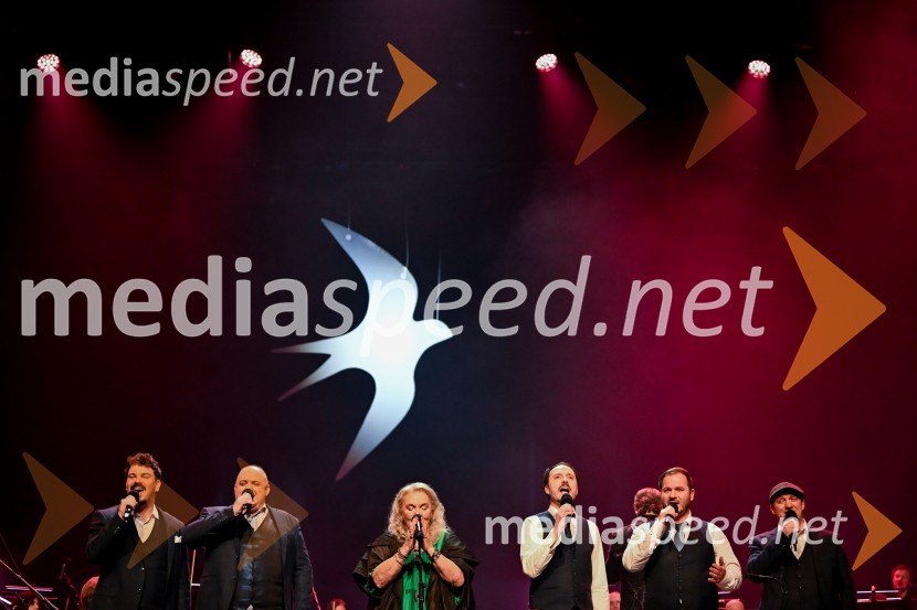 Elda Viler, veličastni poslovilni koncert, Cankarjev dom