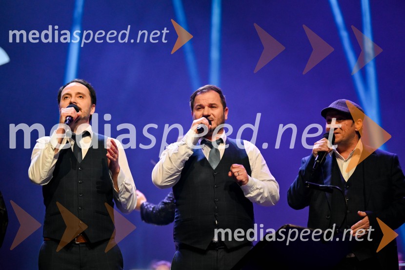 Elda Viler, veličastni poslovilni koncert, Cankarjev dom