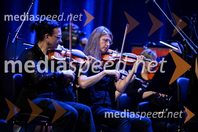 Elda Viler, veličastni poslovilni koncert, Cankarjev dom