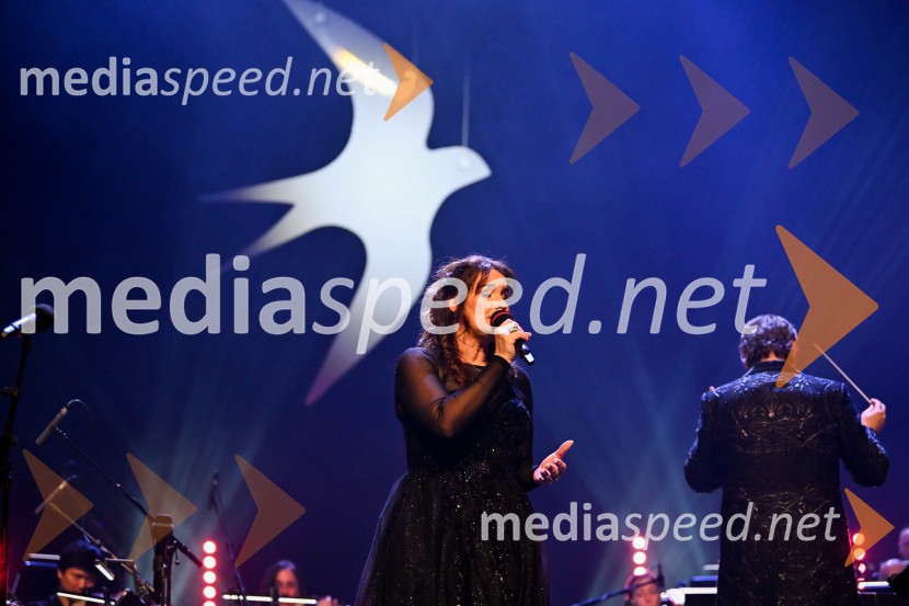 Elda Viler, veličastni poslovilni koncert, Cankarjev dom