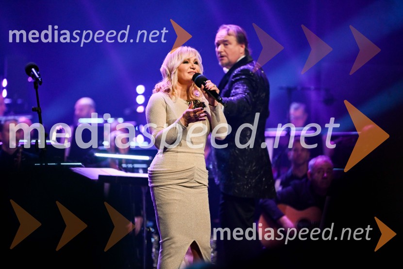 Elda Viler, veličastni poslovilni koncert, Cankarjev dom