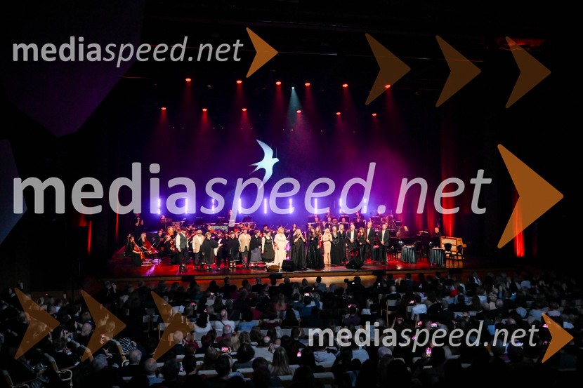 Elda Viler, veličastni poslovilni koncert, Cankarjev dom