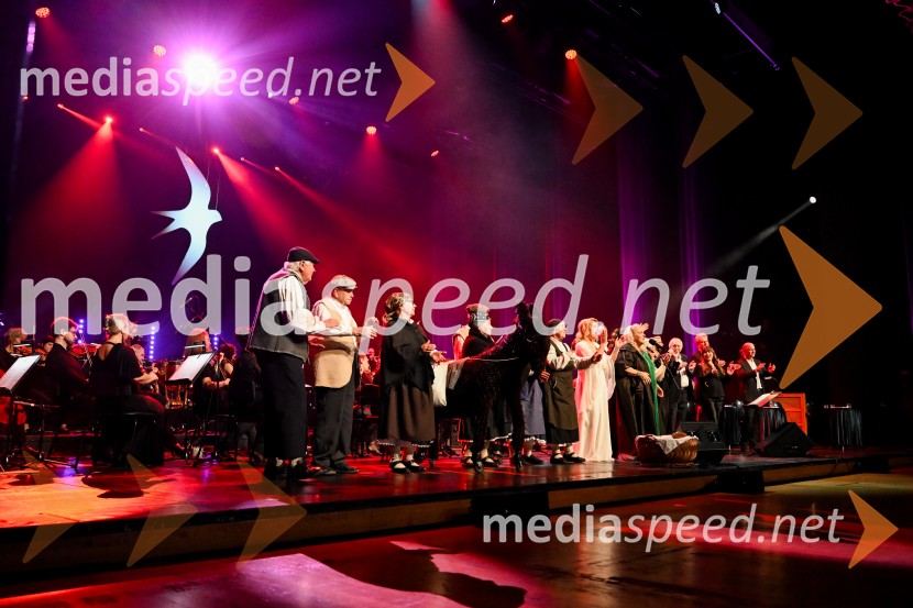 Elda Viler, veličastni poslovilni koncert, Cankarjev dom