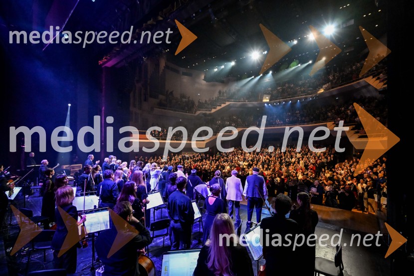 Elda Viler, veličastni poslovilni koncert, Cankarjev dom