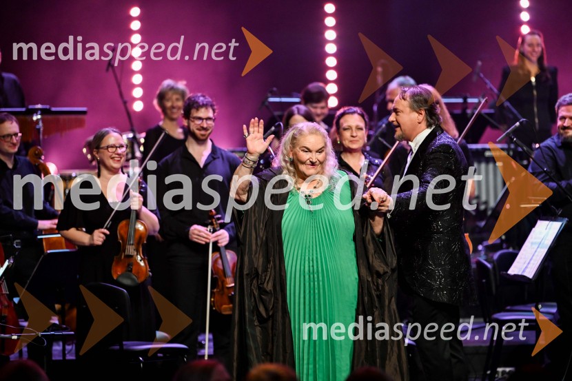 Elda Viler, veličastni poslovilni koncert, Cankarjev dom