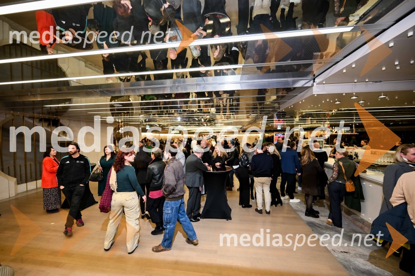 Elda Viler, veličastni poslovilni koncert, Cankarjev dom