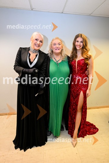 Elda Viler, veličastni poslovilni koncert, Cankarjev dom