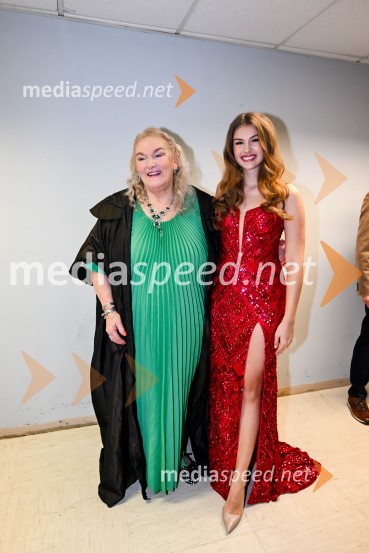 Elda Viler, veličastni poslovilni koncert, Cankarjev dom