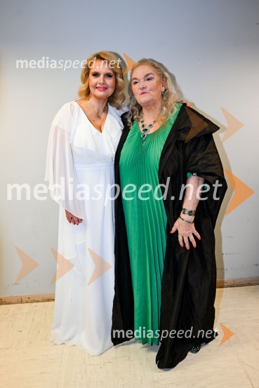 Elda Viler, veličastni poslovilni koncert, Cankarjev dom