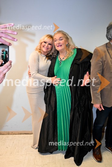 Elda Viler, veličastni poslovilni koncert, Cankarjev dom