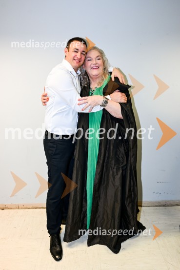 Elda Viler, veličastni poslovilni koncert, Cankarjev dom