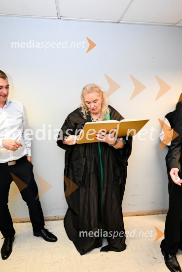 Elda Viler, veličastni poslovilni koncert, Cankarjev dom